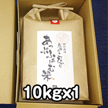 米袋（茶）10kgx1（無料）