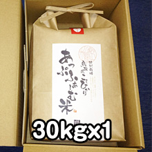 米袋（茶）30kgx1（無料）