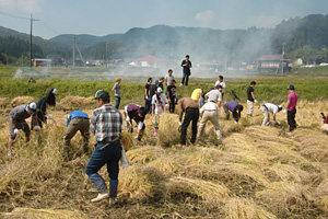 「東日本大震災支援ファーム」収穫の様子